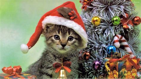chat kitsch